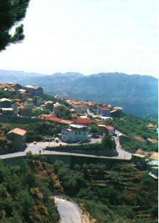 magisano
