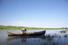 Pescatore sul Trasimeno
