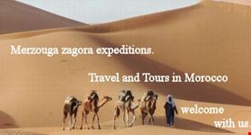 marrakech tours and camel trekking  morocco