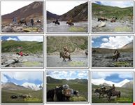 chengdu pferdereisen wwwnavo-tourcom