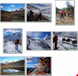 chengdu wwwnavo-tourcom