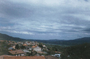 olivadi