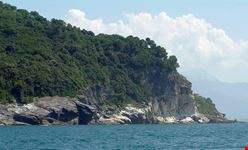 Punta bianca