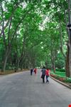 istanbul guelhane park