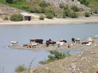 lago tre aree