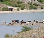 lago tre aree lago tre aree