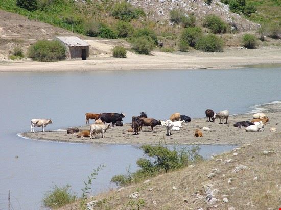  a pochi chilometri dal centro di Maniace sui Nebrodi  