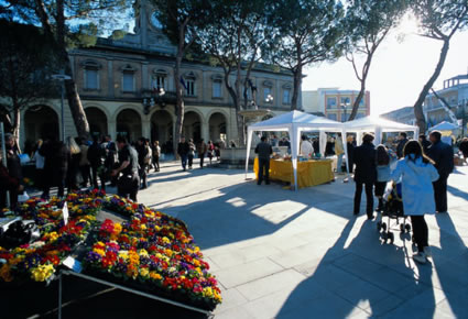 Fiera di San Gregorio