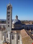 siena 2010