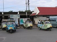 trang