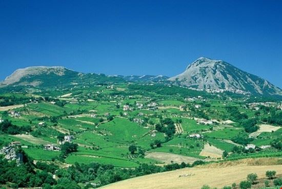 Andar per Vigne