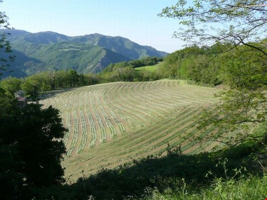 Coniale La zona del Coniale sull'appennino tosco-emiliano  