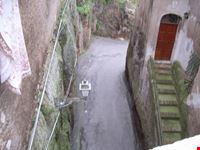 Ceri