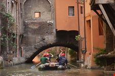 giungla metropolitana bologna