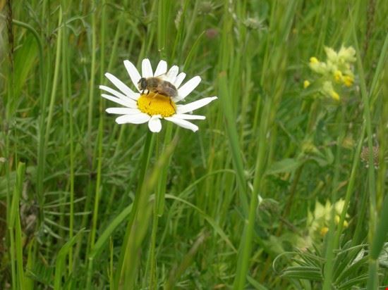  La natura spesso ci regala immagini magnifiche, basta solo saperle osservare...  
