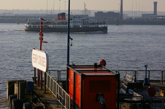 Harbour View