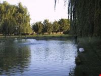 modena der gartenteich