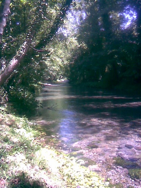 Le dieci Querce