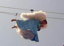 angelo in volo