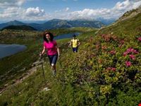 nordic walking