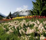 Davos in Spring Davos in Spring