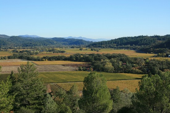 la napa valley