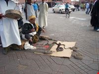 djemaa el fna