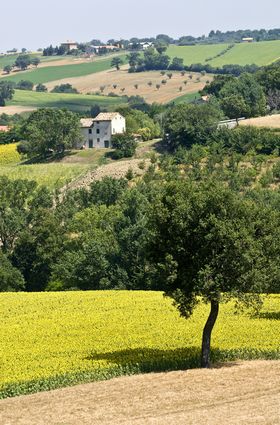 Paesaggio estivo