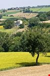 Paesaggio estivo