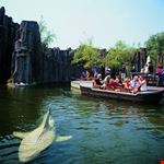 tour in barca