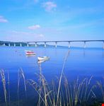 ponte sul vejle fjord