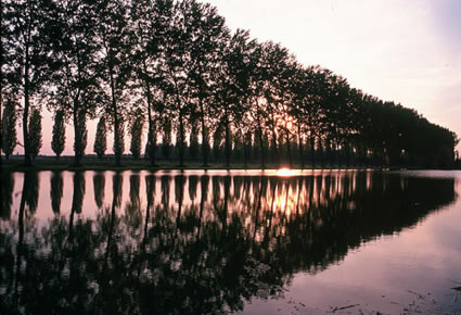 Oasi naturale delle Pradine