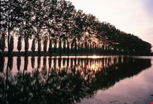 Oasi naturale delle Pradine