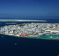 32180_male_male_island 32180_male_male_island