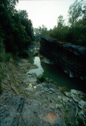 Il Parco Fluviale Regionale del fiume Stirone