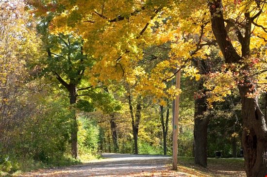 Parco di Mount Royal
