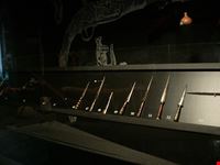 ajaccio musee de la corse