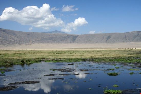  Ngorongoro crater Shutterstock Shutterstock