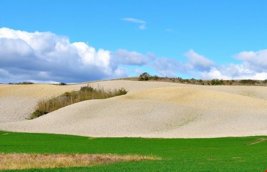 Colle di Val d'Elsa paesaggio immortalato nei pressi di Boscona  