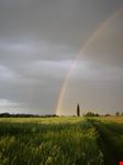 Colorissima