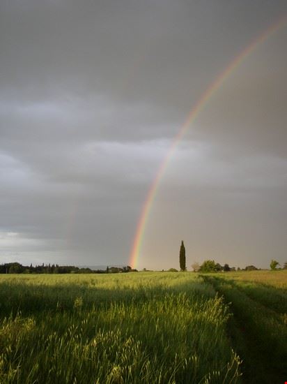 Colle di Val d'Elsa Spendido arcobaleno nelle campagne di campiglia  