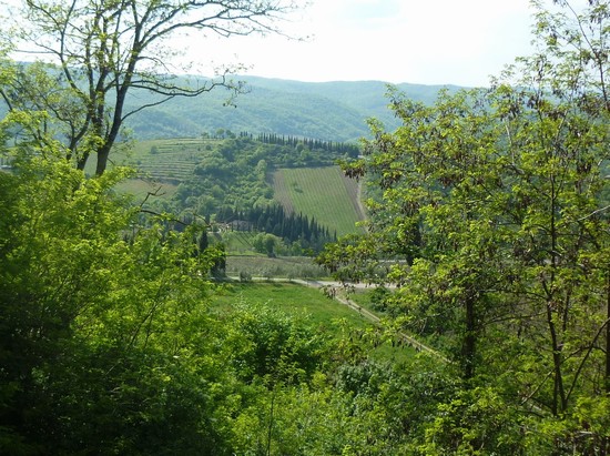 chianti-panorama da Radda