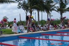 club albatros