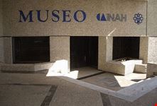 mayan museum