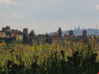 Le campagne intorno a Certaldo (FI)