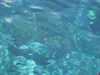 il mare di Stromboli