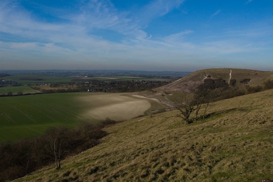 The Downs