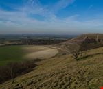 The Downs The Downs