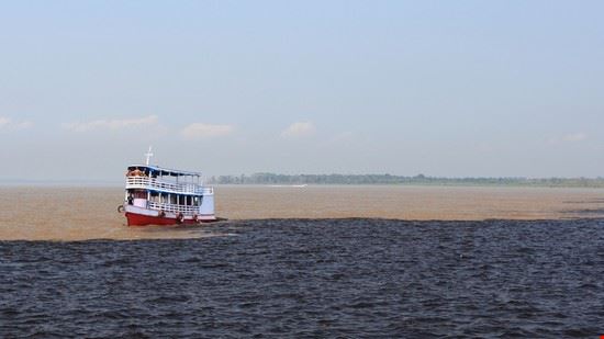  Manaus Shutterstock - Manaus gary yim Shutterstock