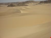 Oasi di Siwa il deserto